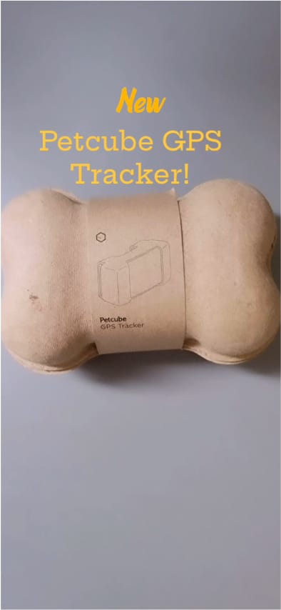 Your browser does not support the <video> tag