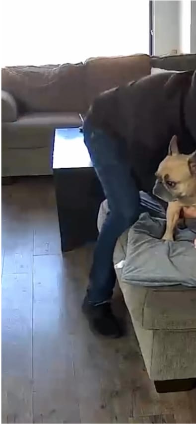 Your browser does not support the <video> tag