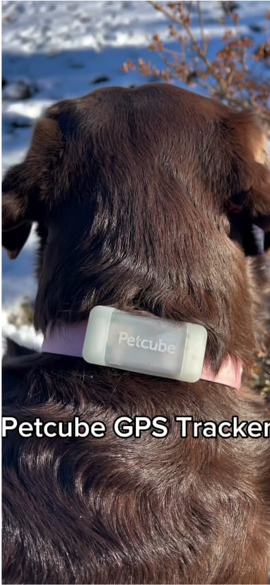 Your browser does not support the <video> tag