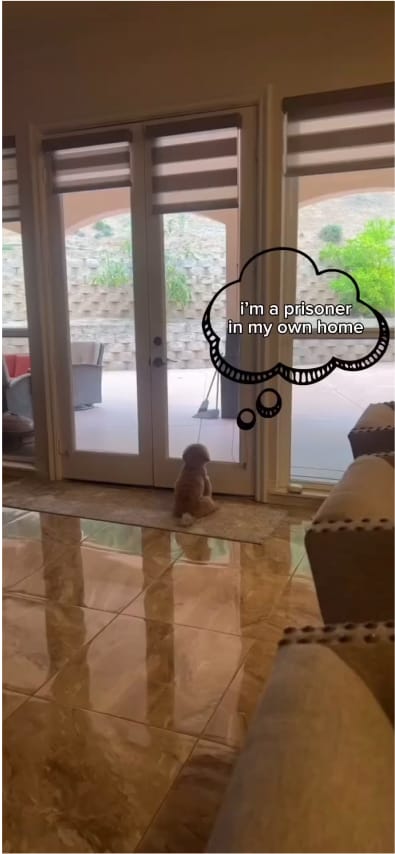 Your browser does not support the <video> tag