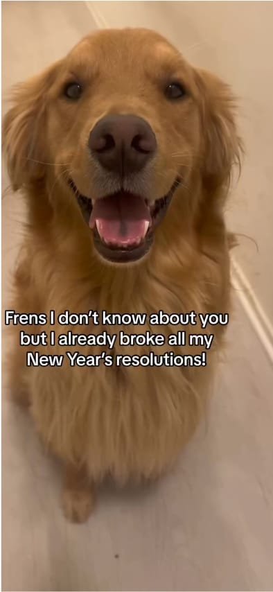 Your browser does not support the <video> tag