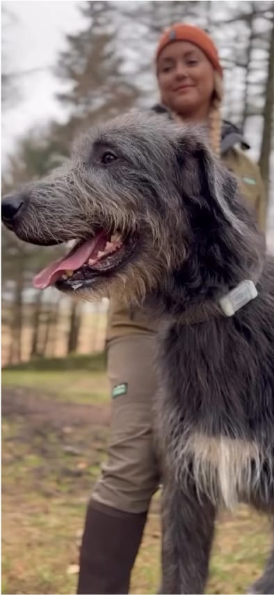 Your browser does not support the <video> tag