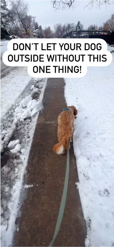 Your browser does not support the <video> tag